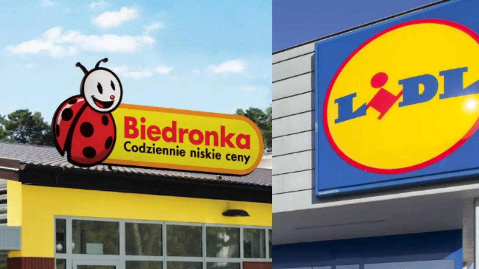 Po nemeckom Lidli smeruje na Slovensko druhý veľký diskontný predajca potravín.