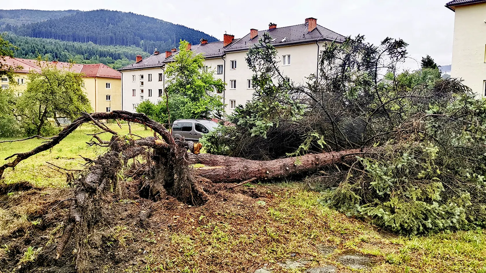 Mesto bolo posiate zlomenými a vyvrátenými stromami.