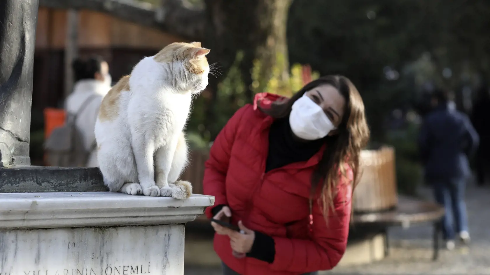 WA 1 Ankara - Žena s rúškom sa pokúša komunikovať s mačkou menom Efe, ktorá žije v miestnom parku v Ankare v pondelok 30. novembra 2020. Turecko v reakcii na prudký nárast nových prípadov ochorenia COVID-19 sprísni od utorka 1. decembra epidemiologické opatrenia vrátane zavedenia úplného zákazu vychádzania počas víkendu a obmedzeného používania hromadnej dopravy v závislosti od veku cestujúcich. Oznámil to v pondelok prezident Recep Tayyip Erdogan, informovala agentúra DPA a AFP. FOTO TASR/AP


