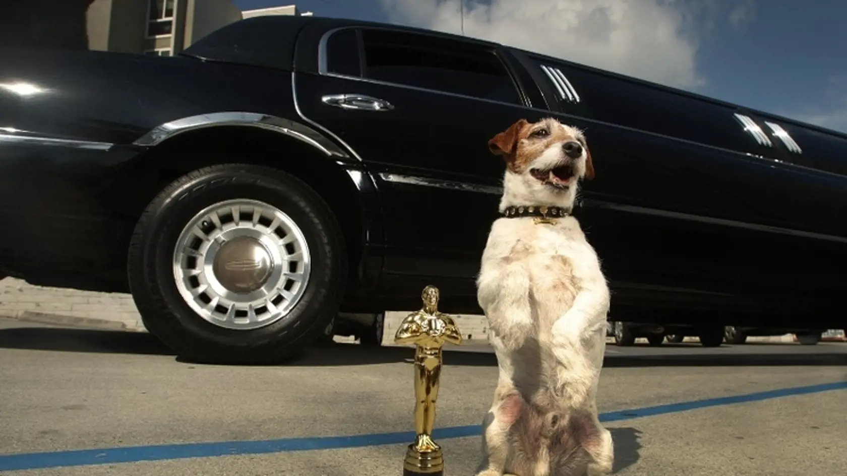 Pes menom Uggie sa preslávil najmä filmom The Artist nominovanom na Oscara.
