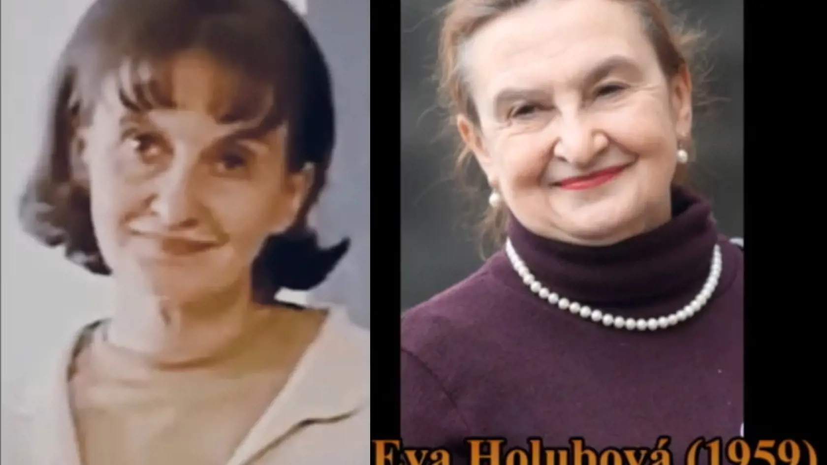 Eva Holubová