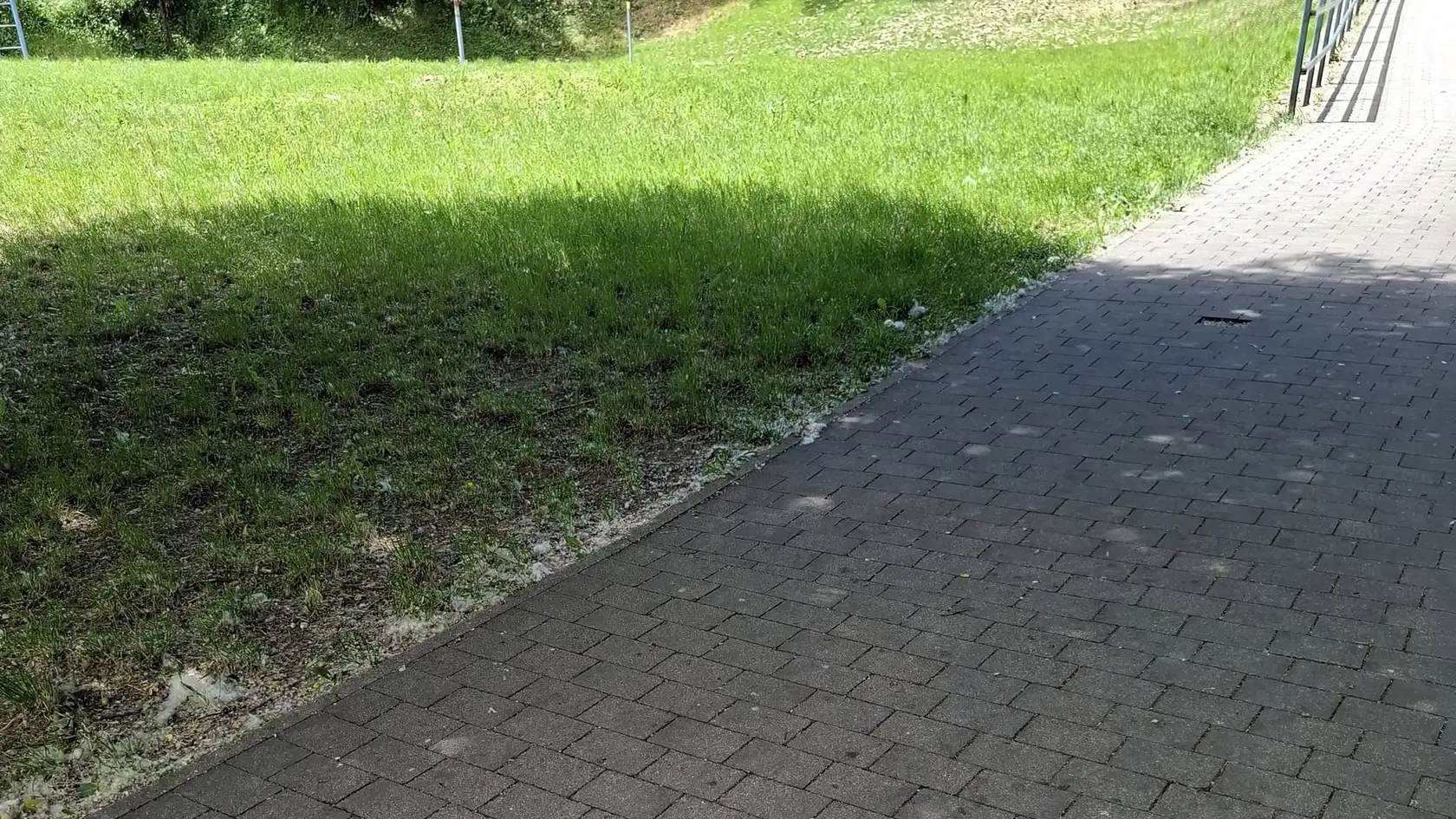 Neuveriteľné, čo sa objavilo pred internátmi.