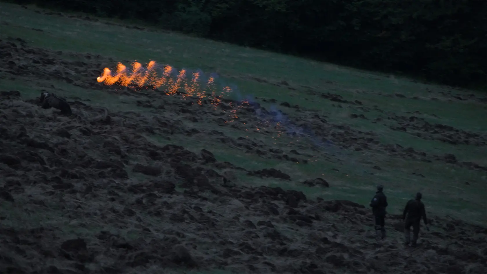 V piatok 11. apríla začína Voyo vysielať dokumentárnu sériu Lebo medveď.