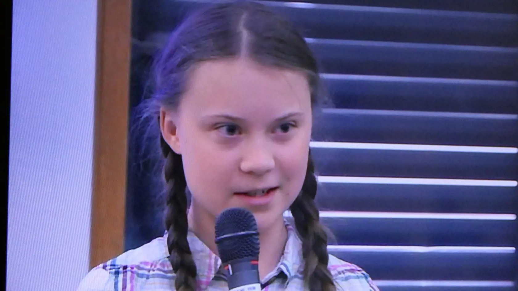 Greta Thunberg (16)