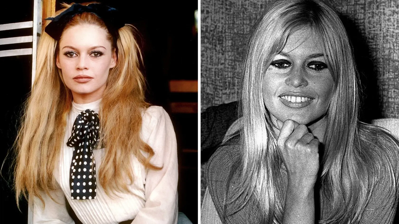 Vlasy legendárnej Brigitte Bardot sú opäť trendy! 