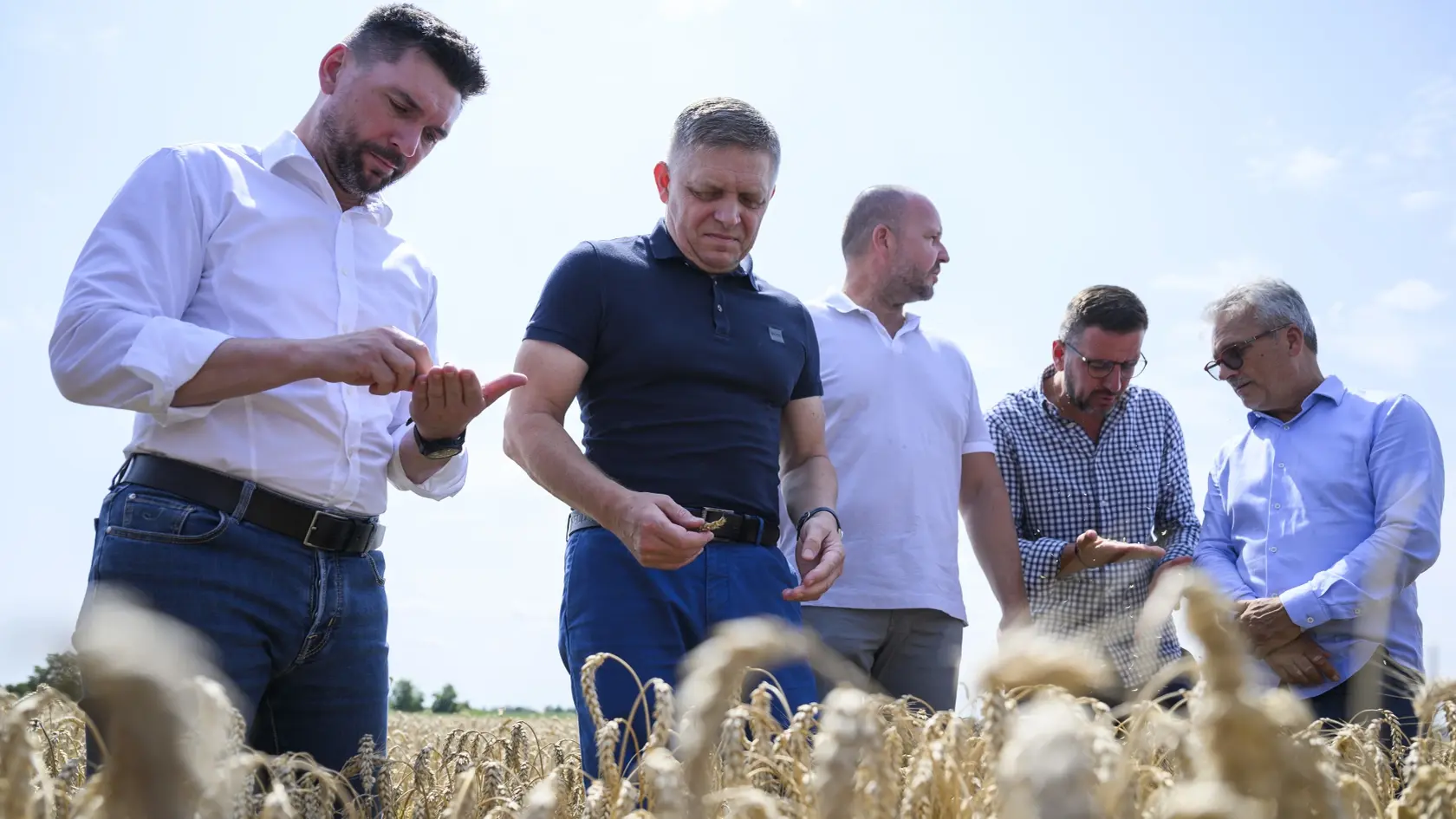 Na snímke zľava minister pôdohospodárstva a rozvoja vidieka SR Richard Takáč (Smer-SD), predseda vlády SR Robert Fico (Smer-SD), predseda Slovenskej poľnohospodárskej a potravinárskej komory (SPPK) Andrej Gajdoš a podpredseda SPPK Emil Macho pózujú v žite počas žatvy.
