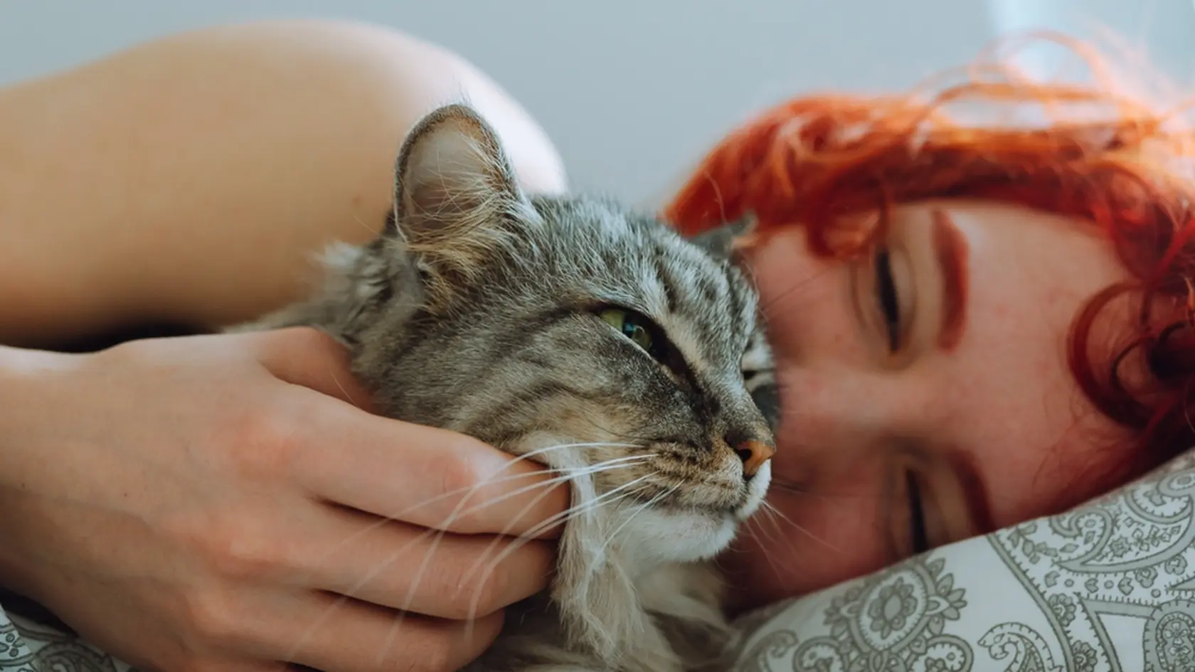 Žena s mačkou na posteli. Výskum na mačkách odhalil zaujímavé fakty o ľudskej Alzheimerovej chorobe. 