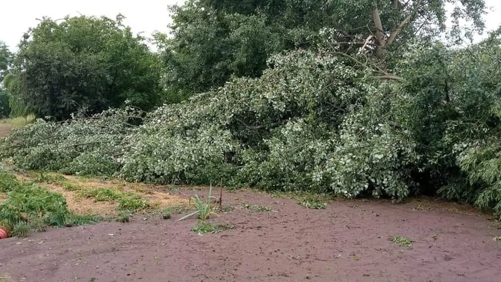 Imeľčanom ostali len oči pre plač: Nočná supercela tu napáchala obrovské škody.