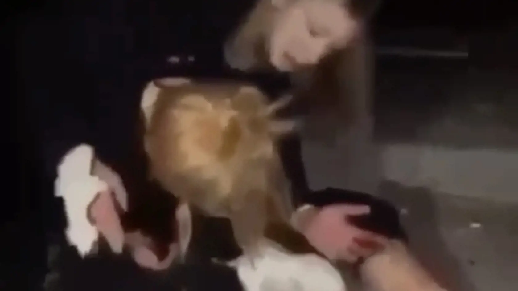 Do 11-ročného dievčaťa liali alkohol, bili ju a všetko si to nahrávali na mobil.