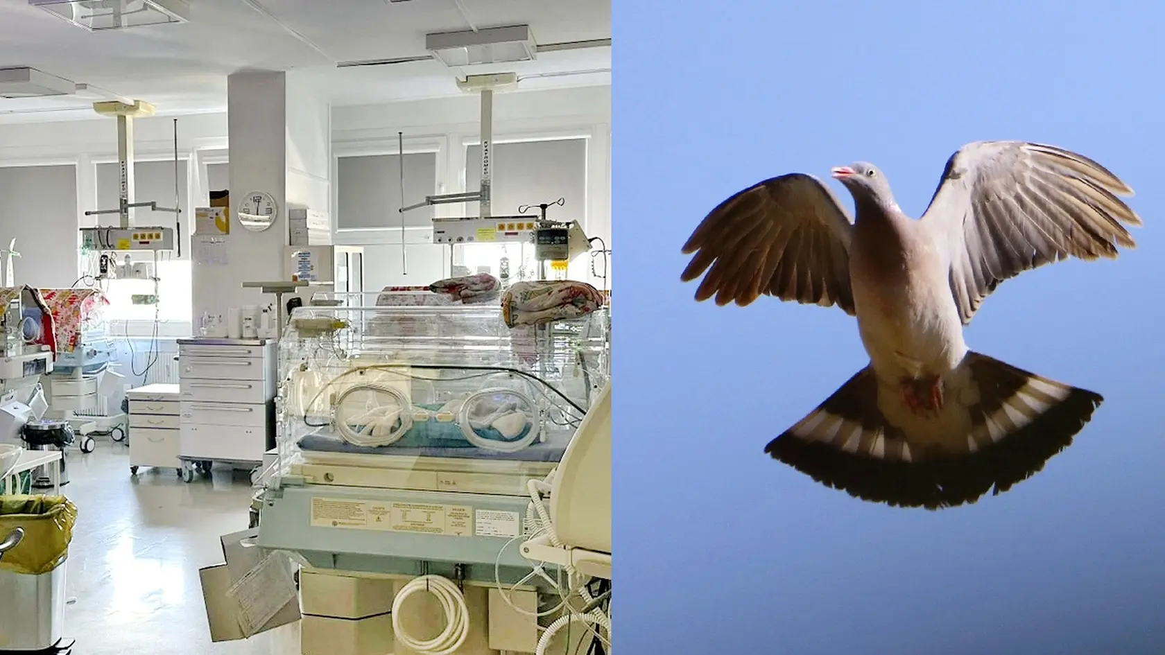 Neonatológiu v Košiciach opravili za vyše 300-tisíc eur.