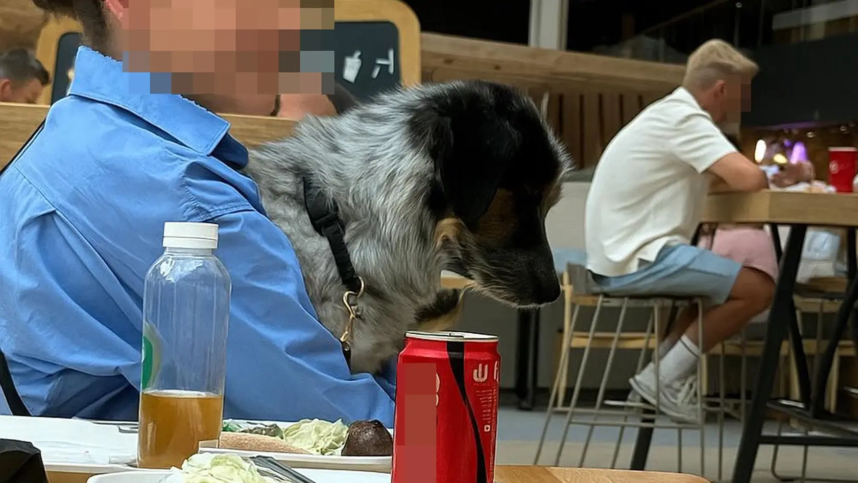 Záber z OC Nivy pobúril viacerých Slovákov.