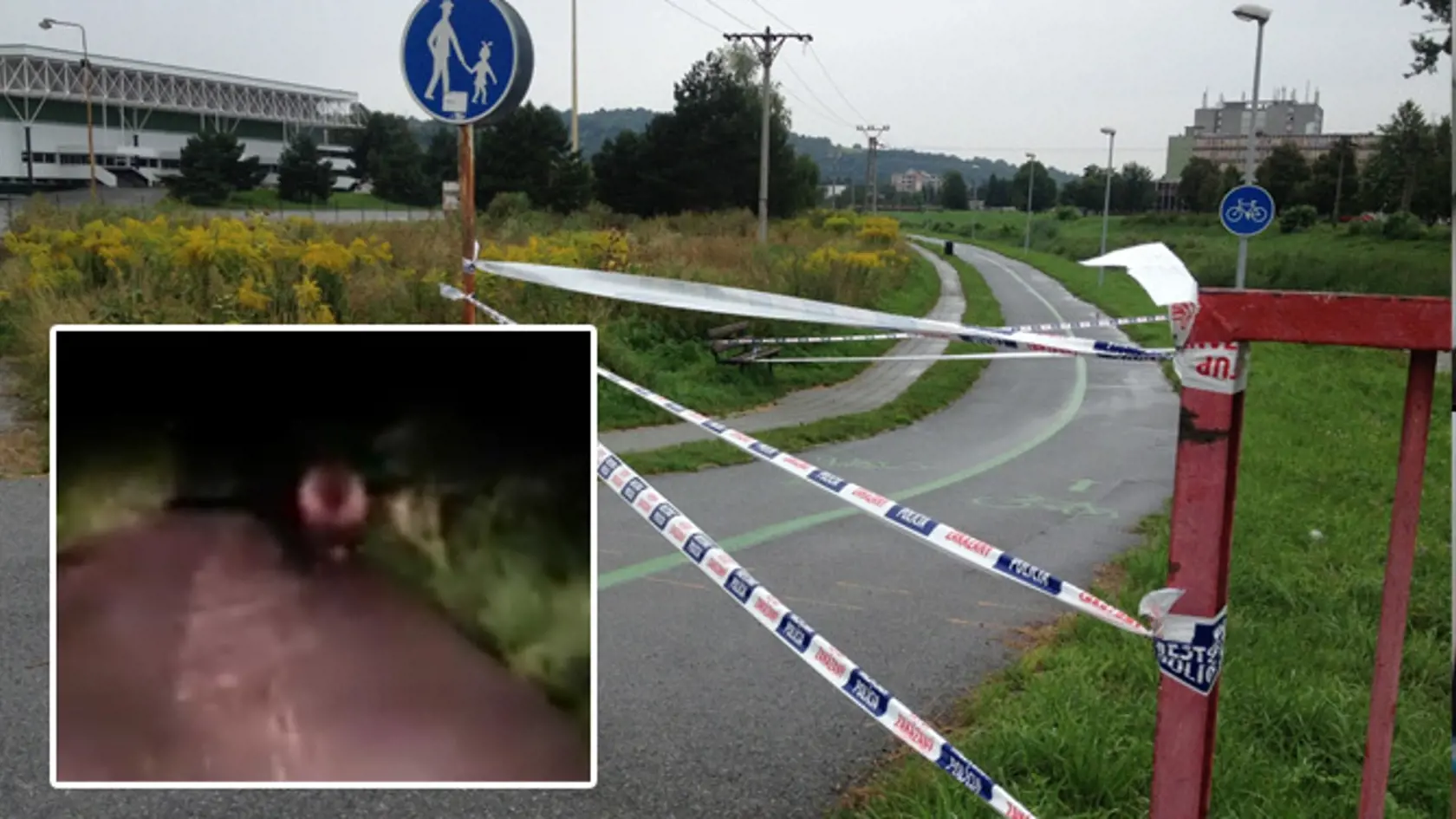MEDVEĎ V PREŠOVE:  Túlal sa neďaleko  centra.
