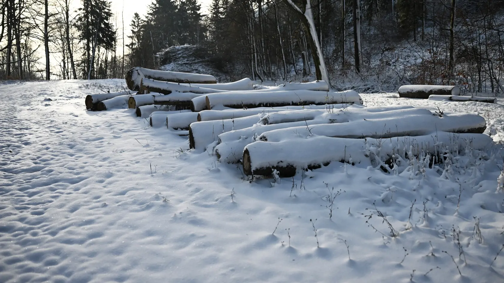 Na snímke zasnežená príroda v okolí Jahodnej pri Košiciach 12. decembra 2024.