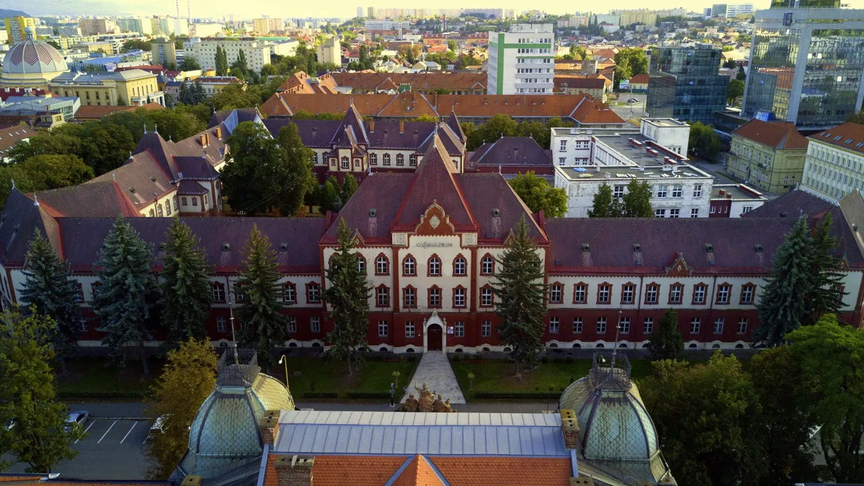 Adriana bola vynikajúca študentka, aj preto jej bývalých spolužiakov prepadol obrovský smútok.