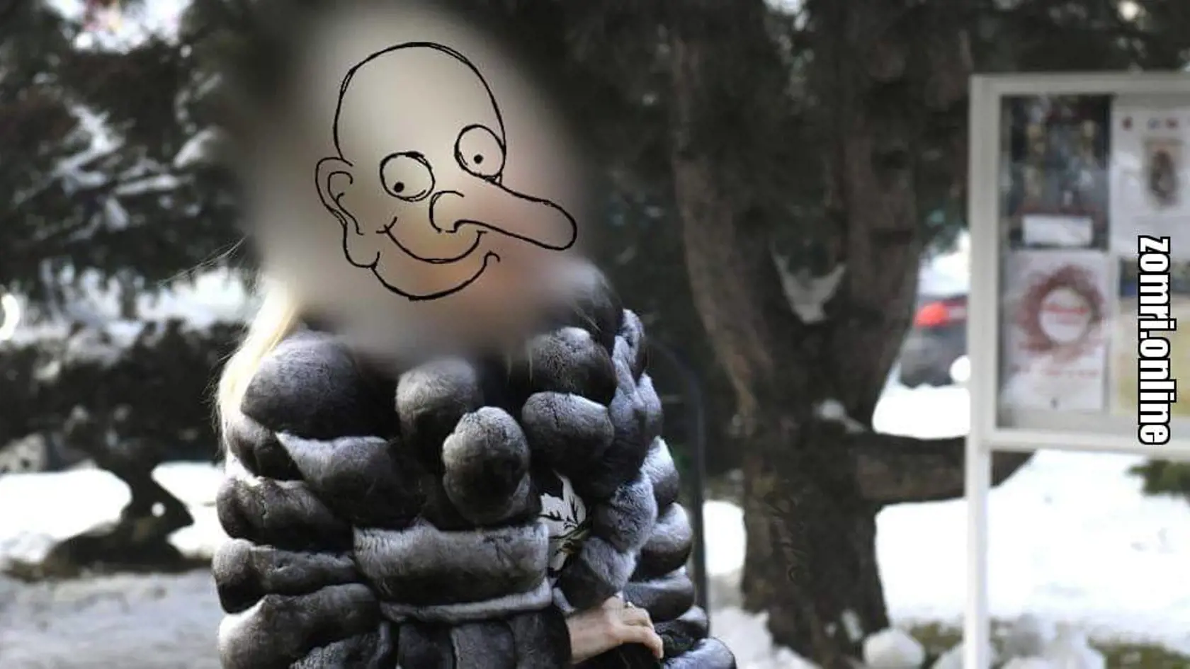 Keď bude Monika Jankovská opäť sudkyňa, nebude povolené uverejniť jej tvár. Niektorí "umelci" to poňali po svojom.