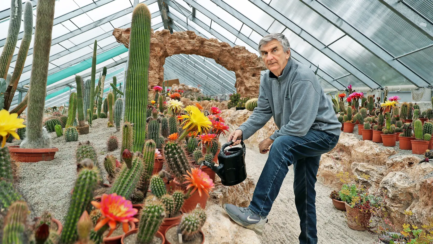 Pestovateľ Jozef (59) sa venuje sukulentom už 45 rokov.