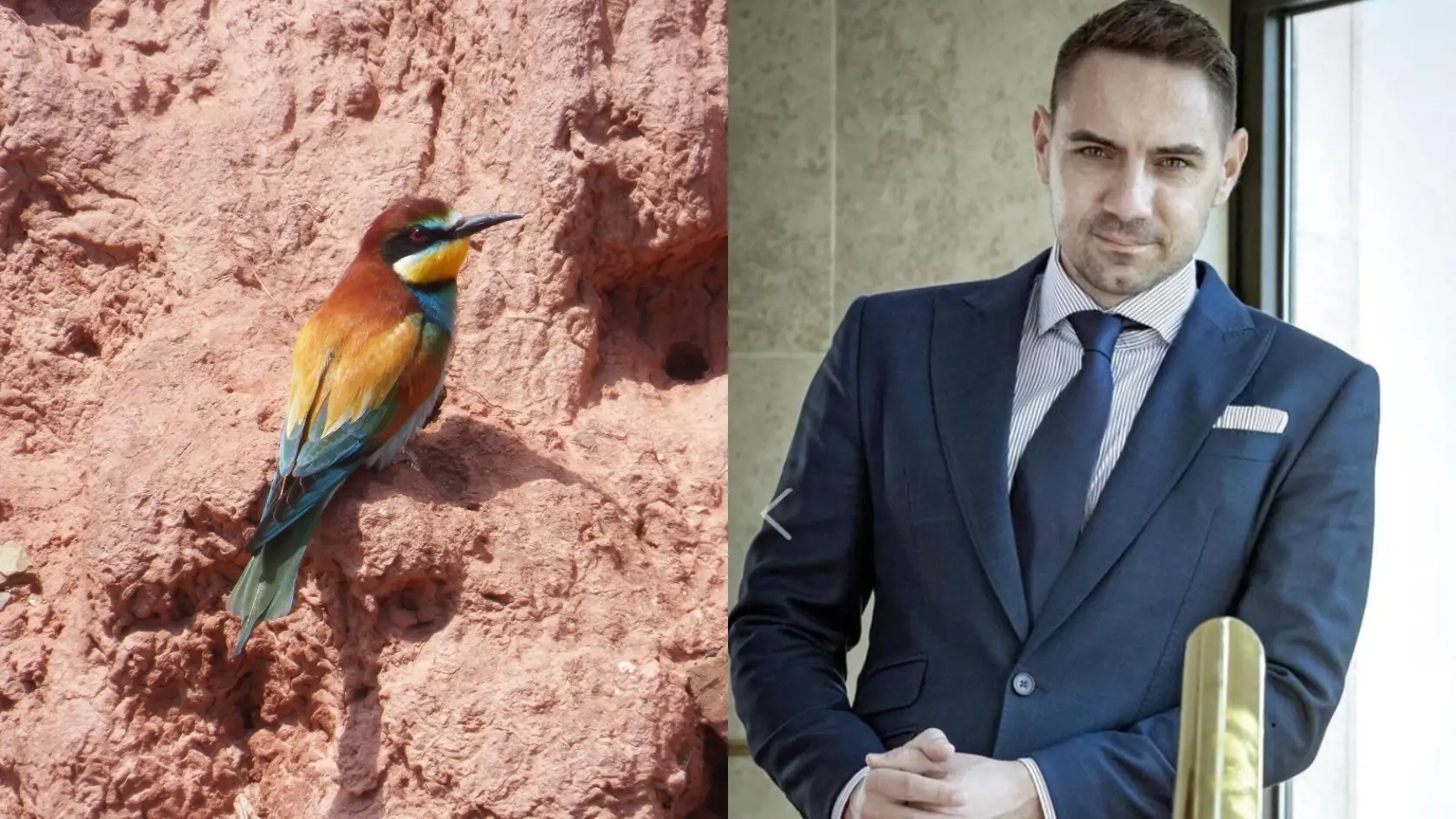Bývalý poslanec NR SR György Gyimesi (42), žije v obci Čičarovce v okrese Michalovce v Košickom kraji. Zaujímavým miestom v okolí dediny sú hniezdiská včelárika zlatého.