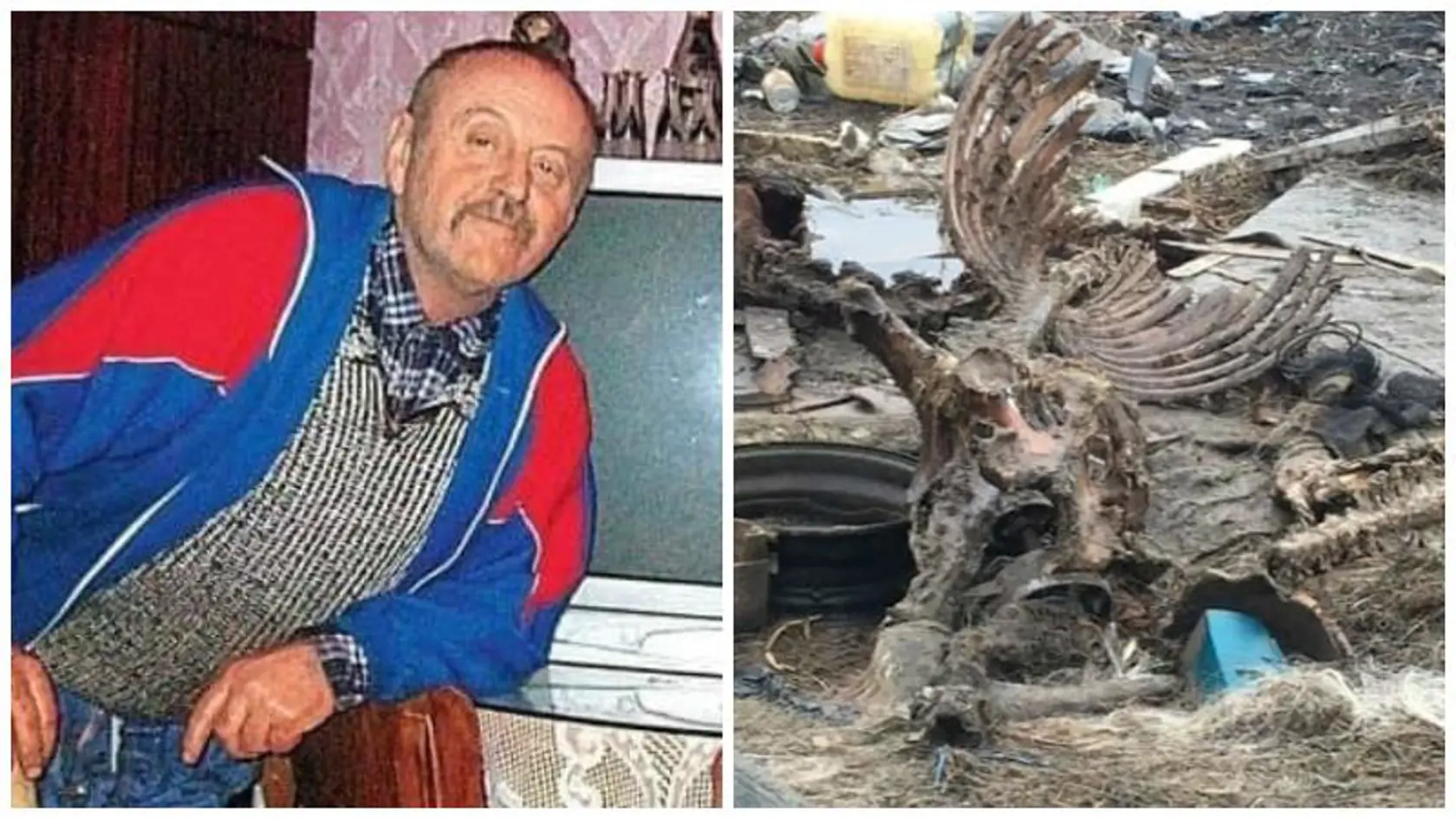 V areáli farmára z reality šou Jána Fodora sa našli páchnuce kostry, zdochliny koní, prasiat aj iných zvierat. Od sudcu dostal len smiešny trest.