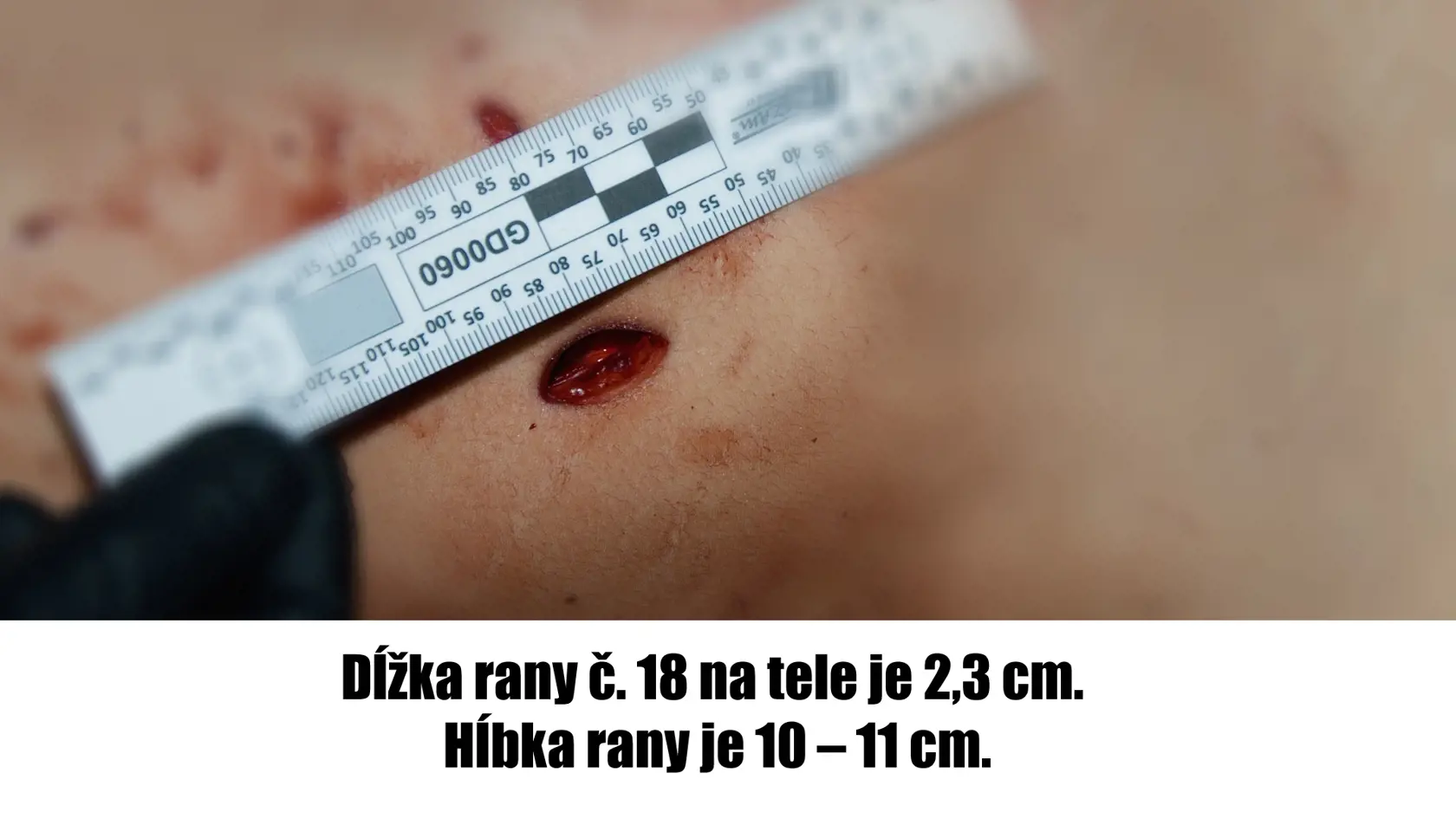 Fotografie zo spisu, ktoré zverejnila rodina odsúdenej Judity.