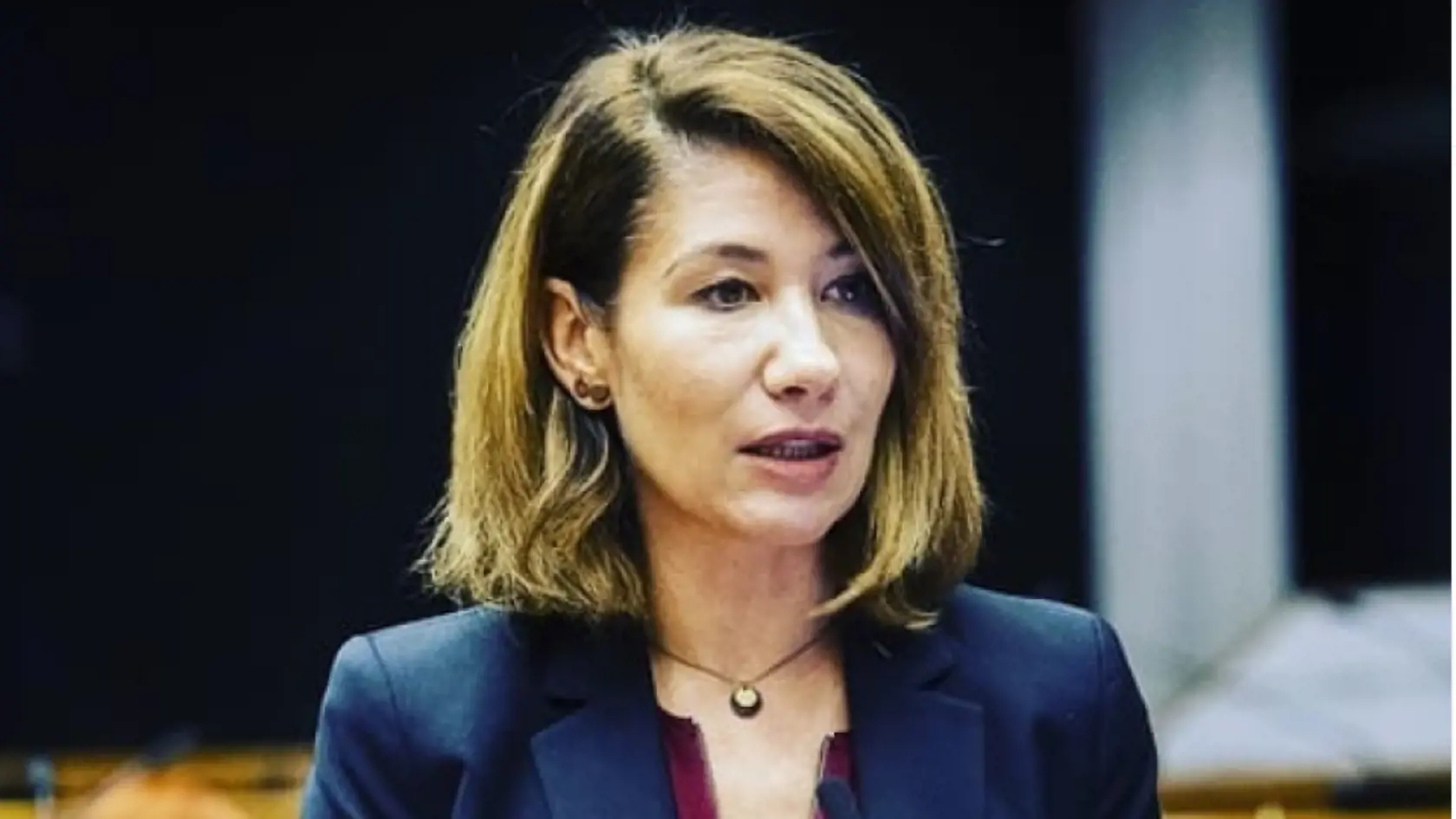 Lucia Nicholsonová tvrdí, že ministerka Veronika Remišová premrhala miliardu eur z eurofondov.