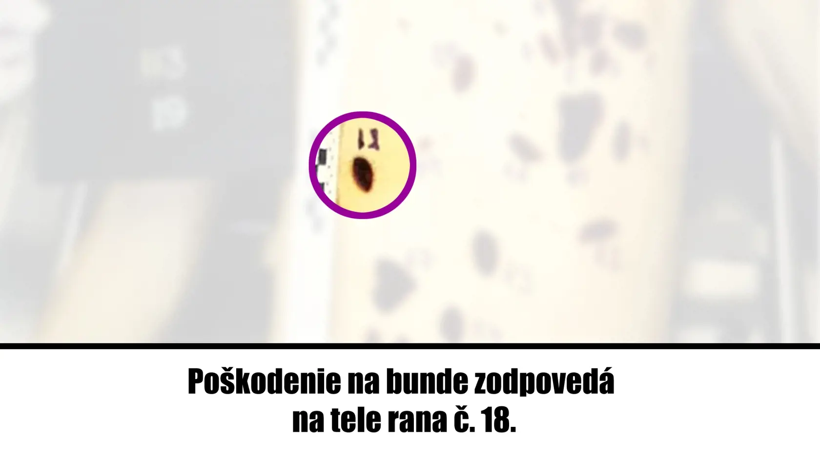 Fotografie zo spisu, ktoré zverejnila rodina odsúdenej Judity.