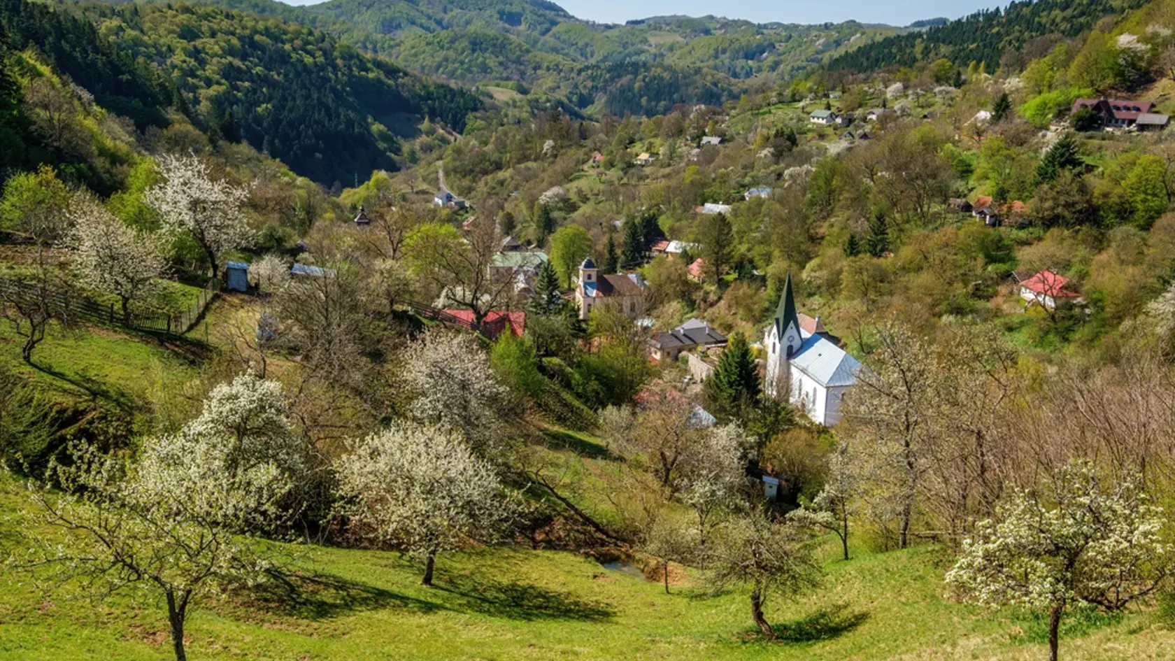 Jarné fenologické fázy drevín nastúpili o jeden až tri týždne skôr.