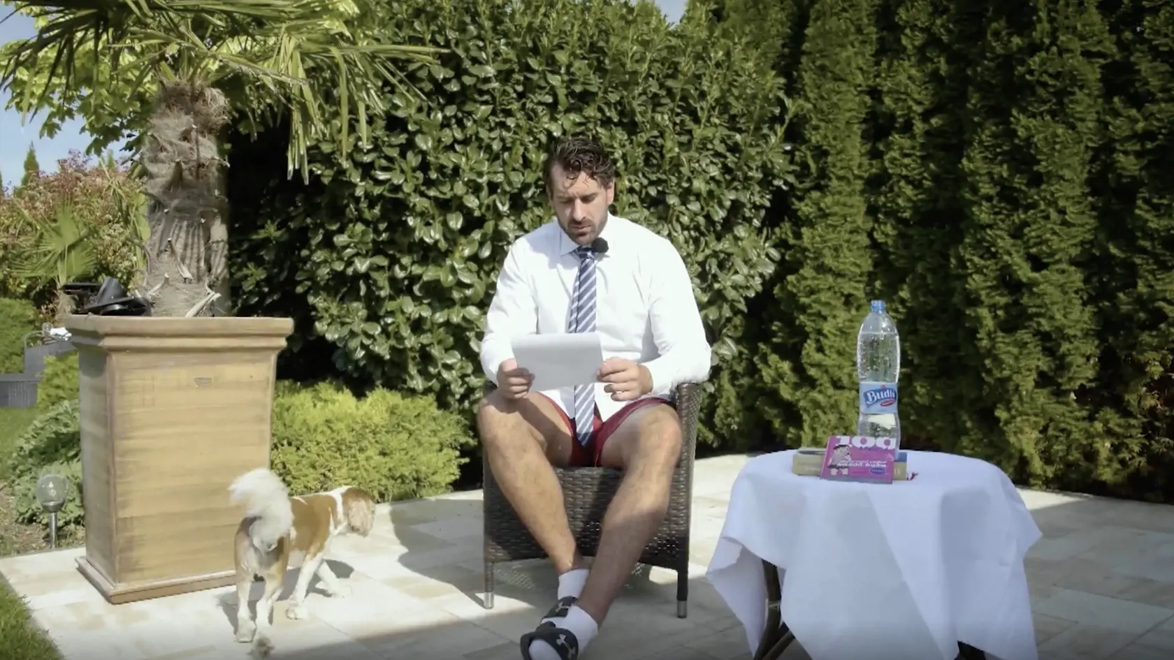 Okrem terasy pri dome má Valábik jednu aj v záhrade. Dominantou na nej sú palmy.