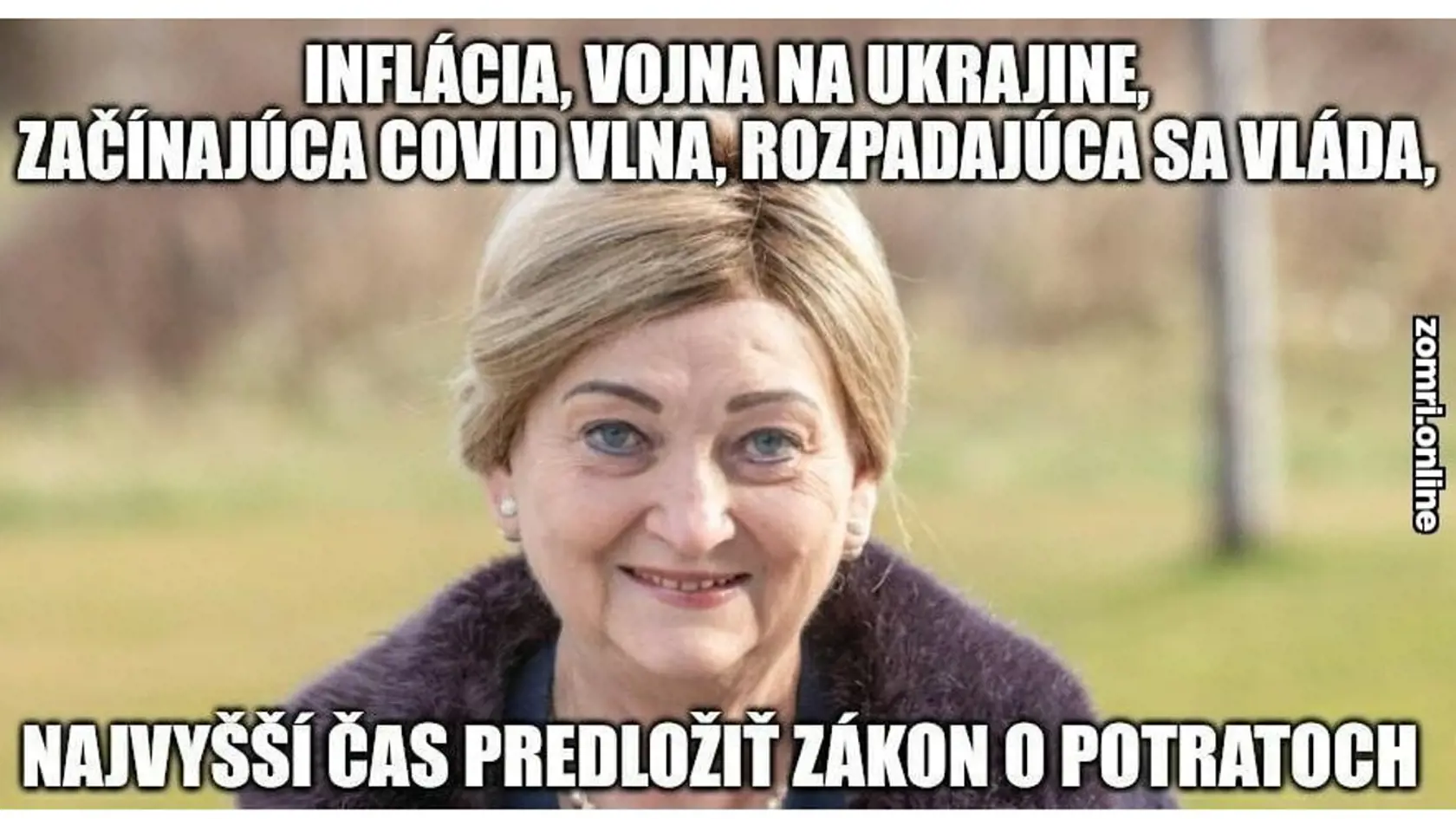 Politickú situáciu a neprehľadnosť sa vraj bude snažiť využiť Anna Záborská, aby konečne presadila zákon o interrupciách.