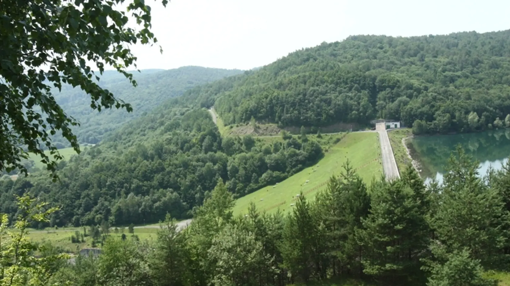 Slovensko priznalo problémy v ochrane bukových lesov.