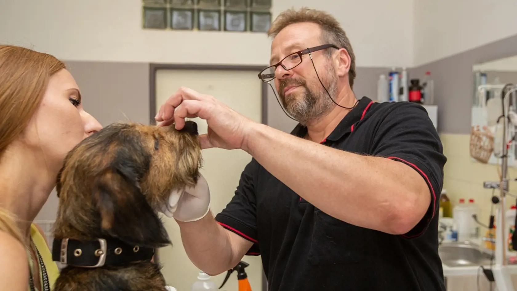 Zmena zákona prinesie nové povinnosti psičkárom aj veterinárom.