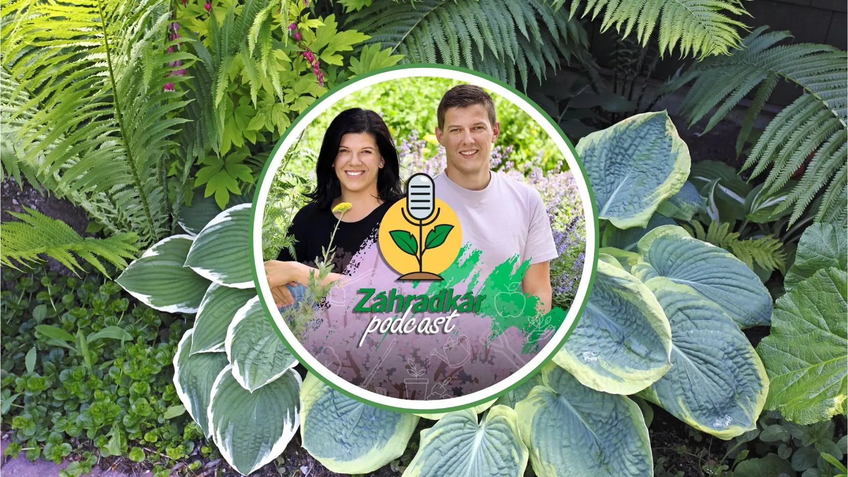 PODCAST | Myslíte si, že pod stromami nič neporastie? Omyl! Tieto trvalky zvládnu tieň aj sucho