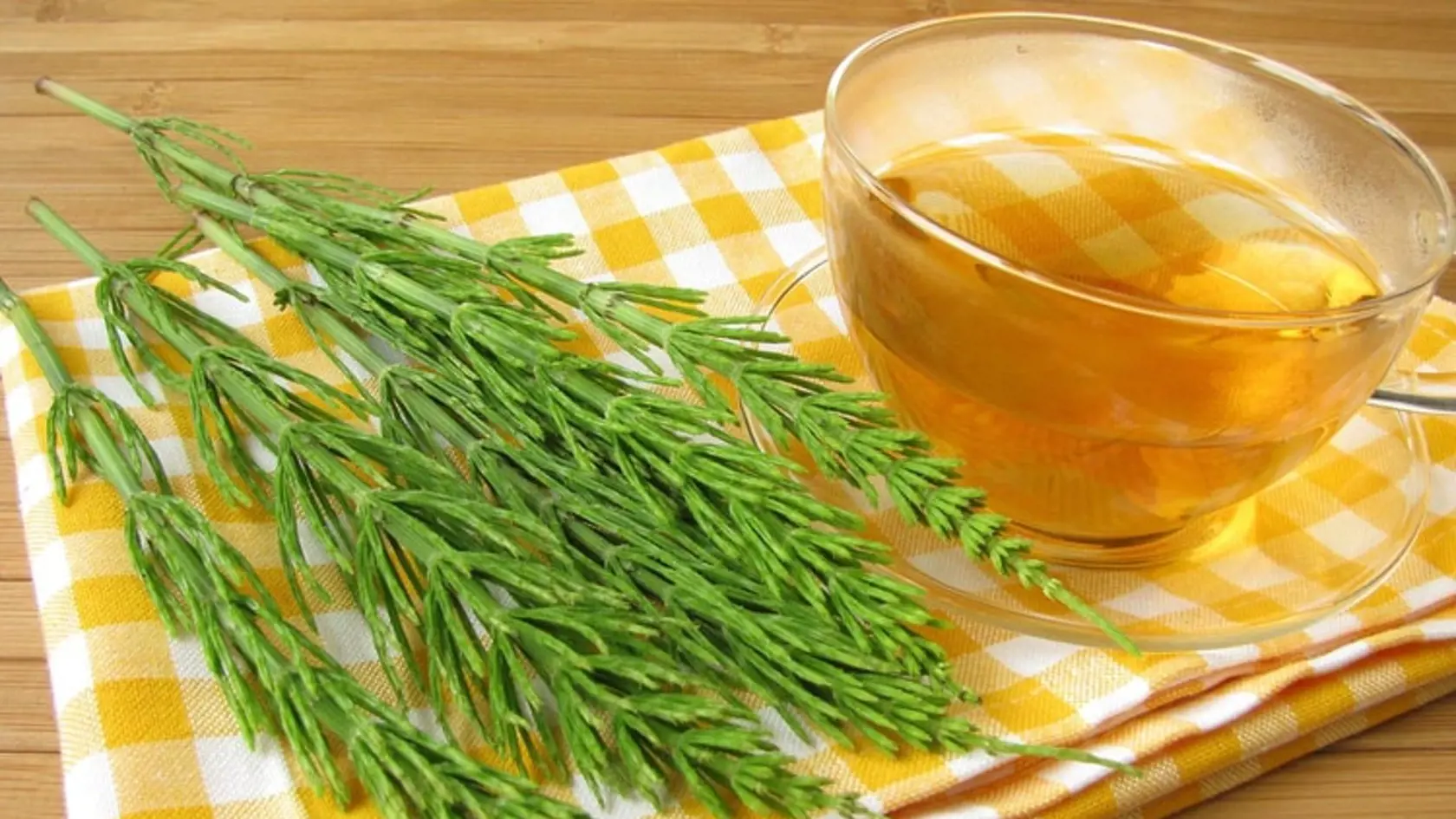 Prasličká roľná by nemala chýbať vo vašej domácej lekárničke.