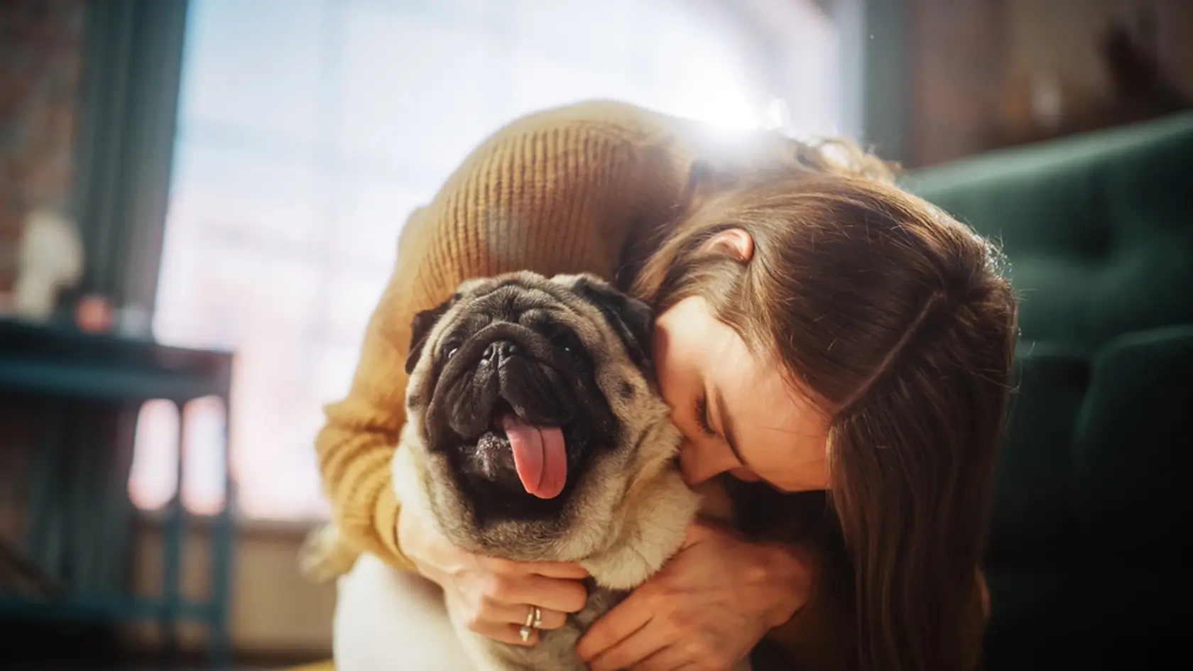 Portrait of Beautiful Young Woman Cuddles Her Adorable Little Pug at Home. Girl Plays with Her Dog, Best Friend. She Pets and Scratches Super Happy Doggy, Have Fun in the Living Room