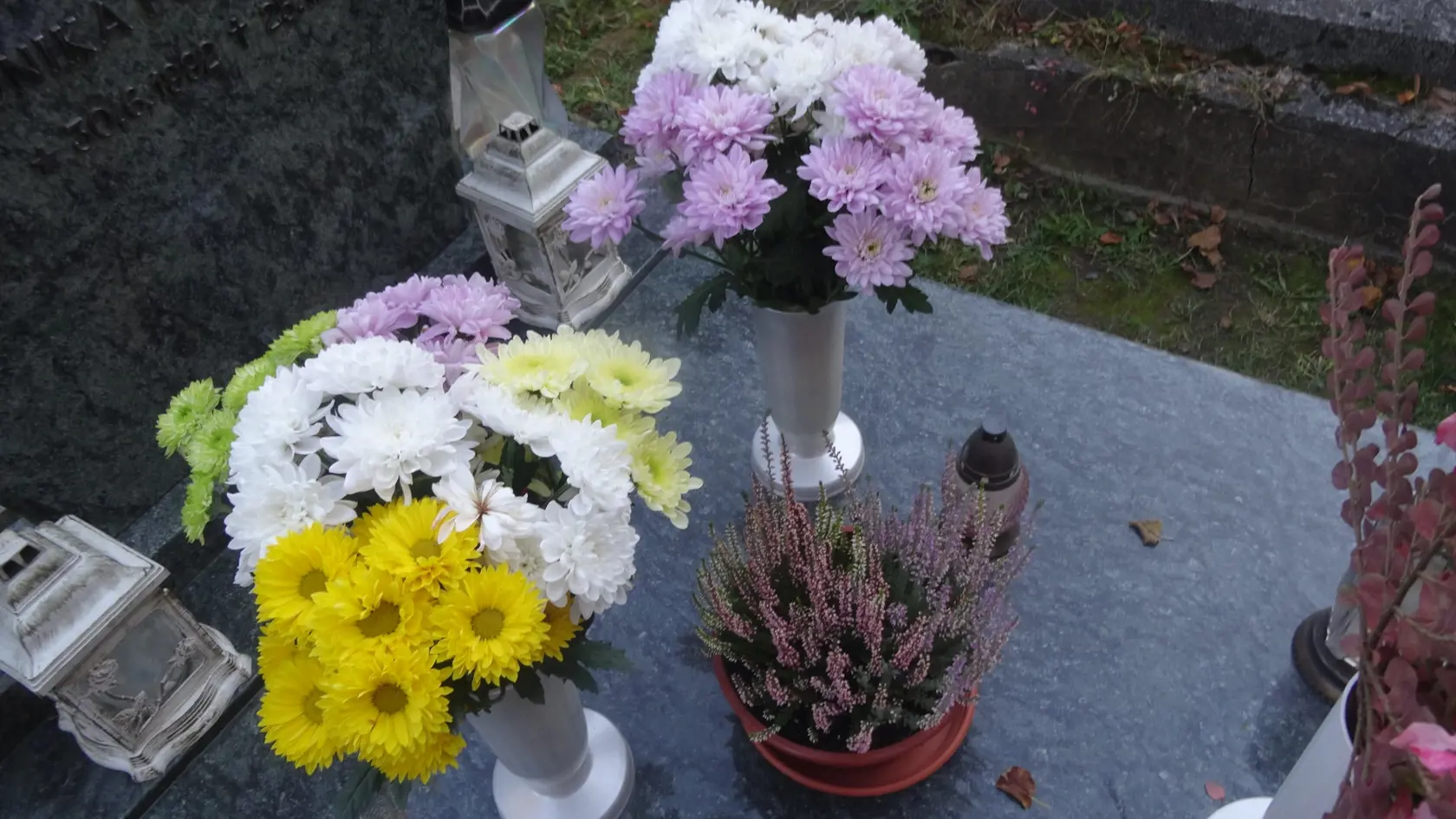 Kytice chryzantém sú dôkazom, že hrob herečky už niekto navštívil.