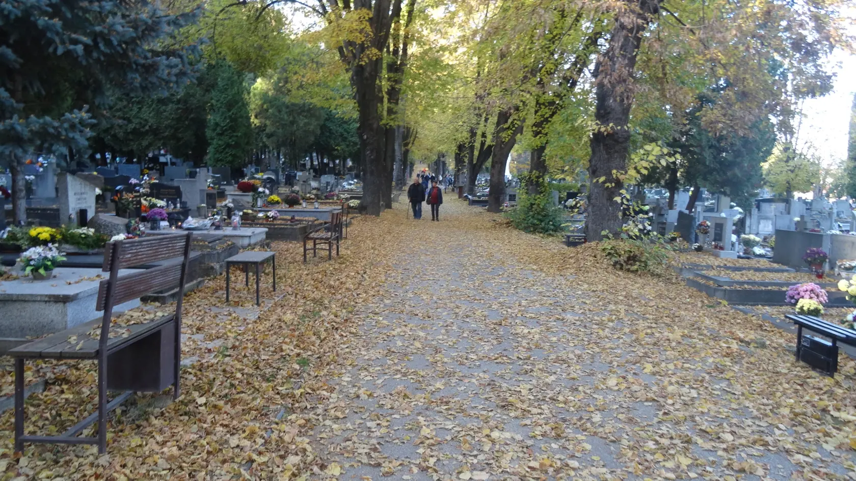 Chodníky a okolie hrobov bolo zasypané listím.