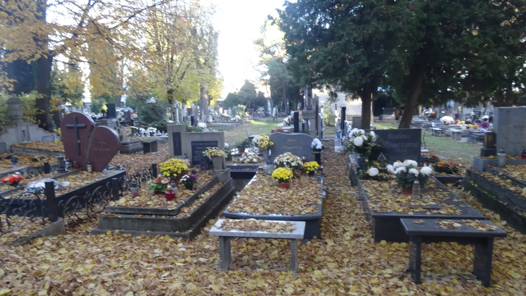 Správca v uplynulých rokoch odpratal lístie z chodníkov a z hrobov ich povysával.