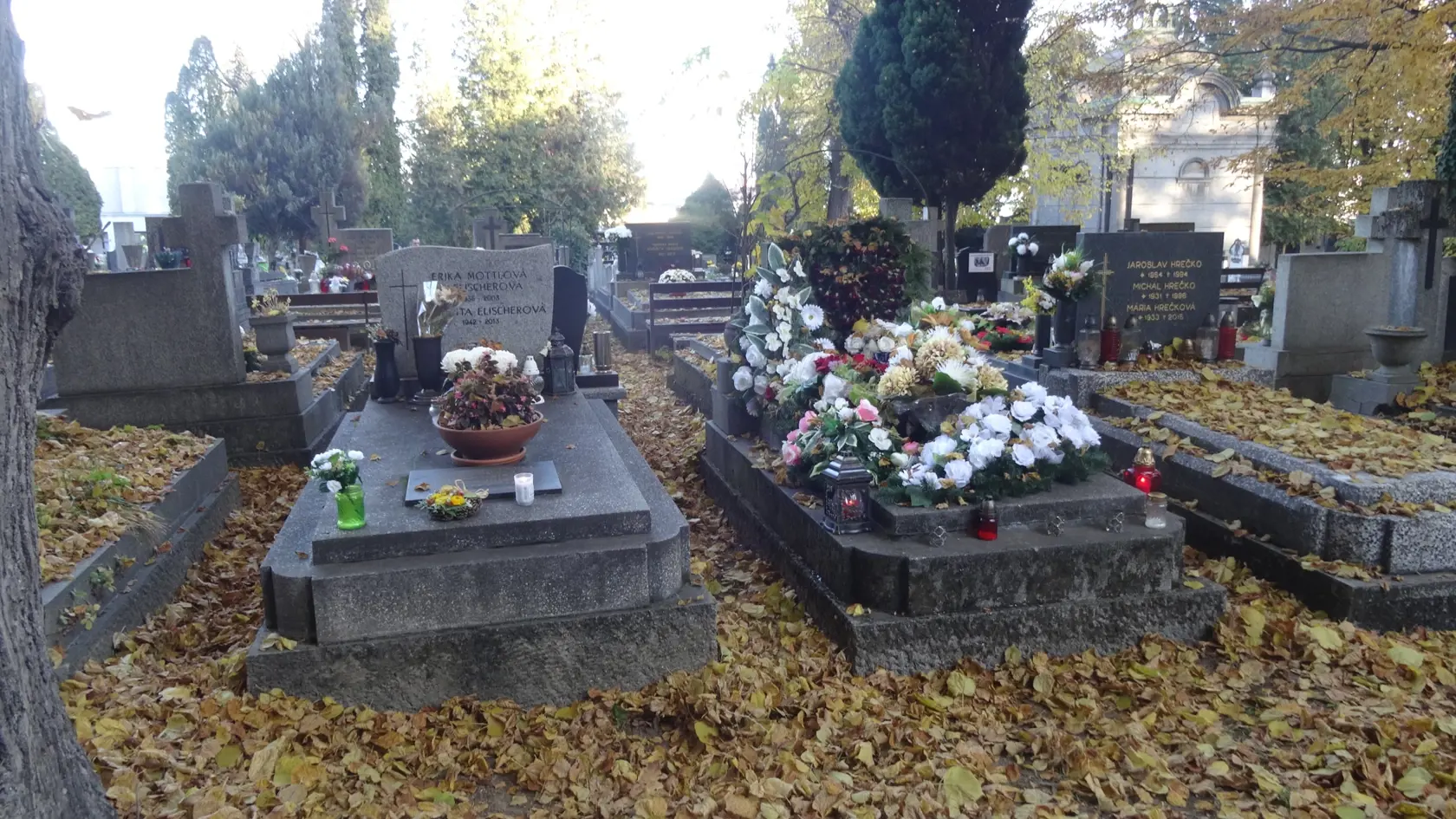 Návštevníkom Verejného cintorína v Košiciach sa nepáčilo, že lístie správca neodpratal.