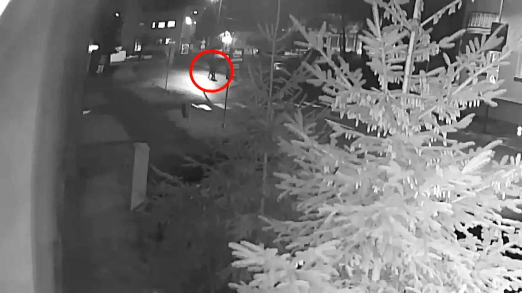 Svedkovia nereagovali na zúfalé volanie Eriky.