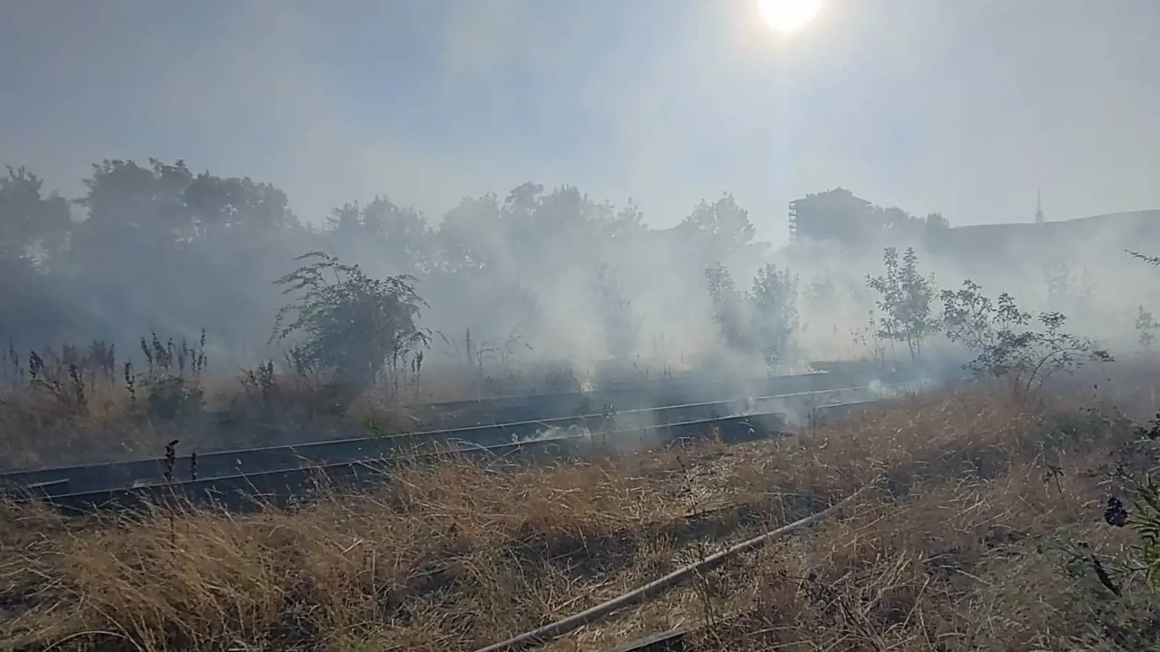 Vlaky, ktoré premávajú zo železničnej stanice Bratislava-Nové mesto prechádzajú touto trasou.
