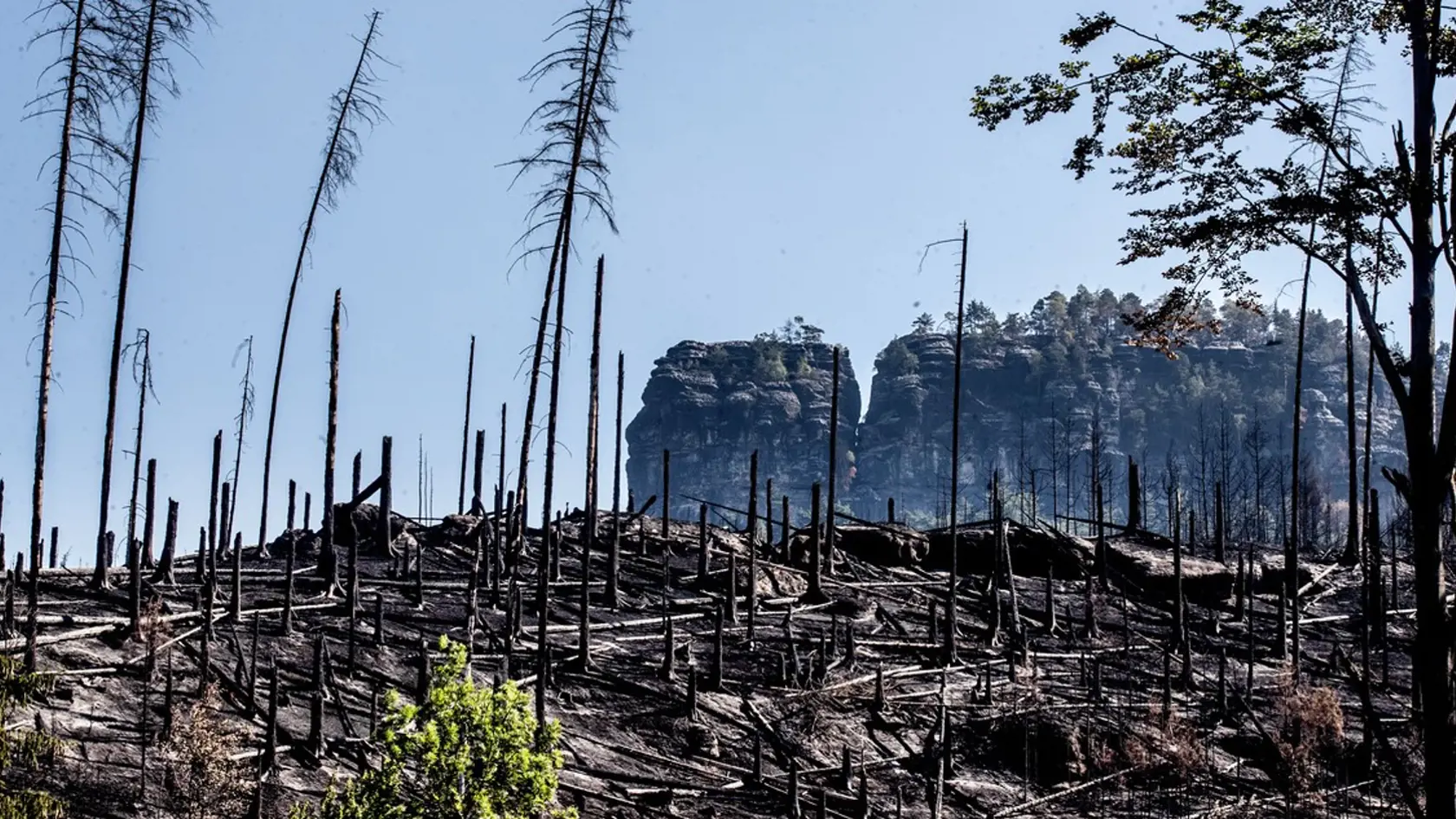 Oheň, ktorý v Českom Švajčiarsku vypukol 24. júla, zničil obrovské množstvo zelene.