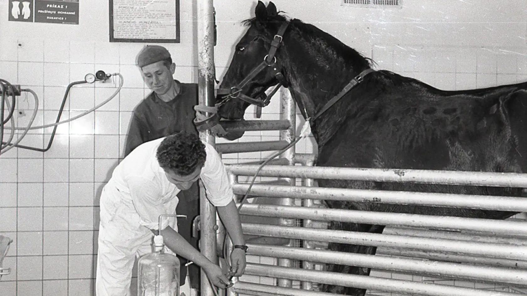 Historické foto z výroby v štátnom podniku Imuna Šarišské Michaľany.
