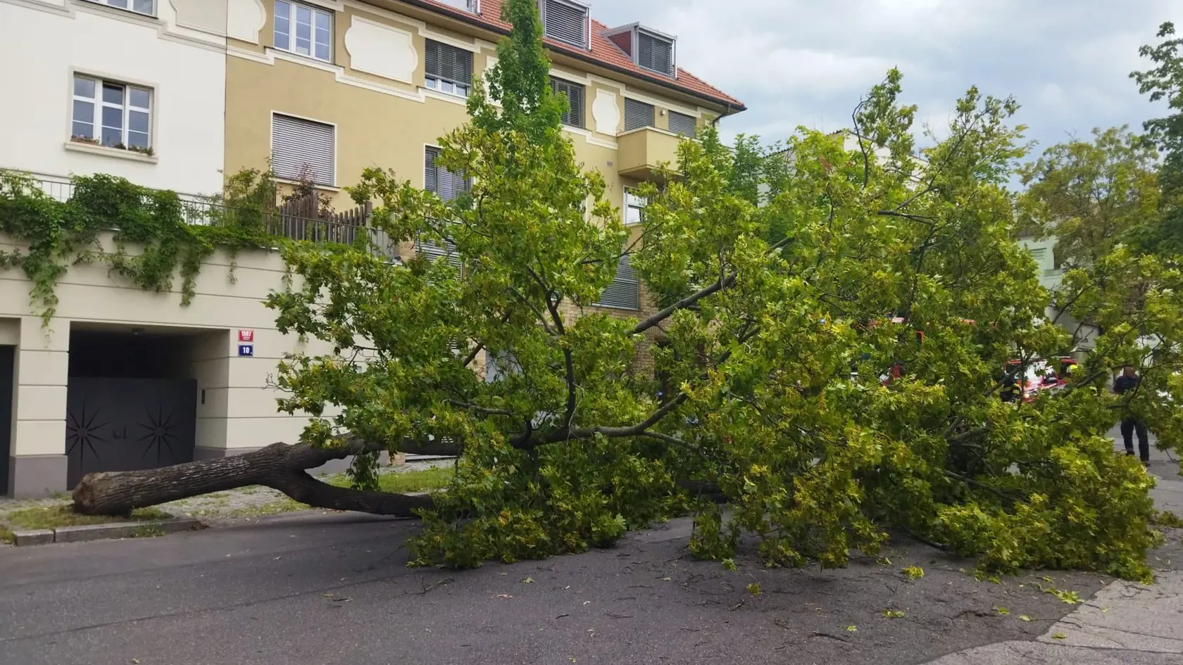 Hasiči v Prahe a stredných Čechách v sobotu popoludní odstraňovali následky búrky - šlo najmä o popadané stromy a zlomené vetvy.