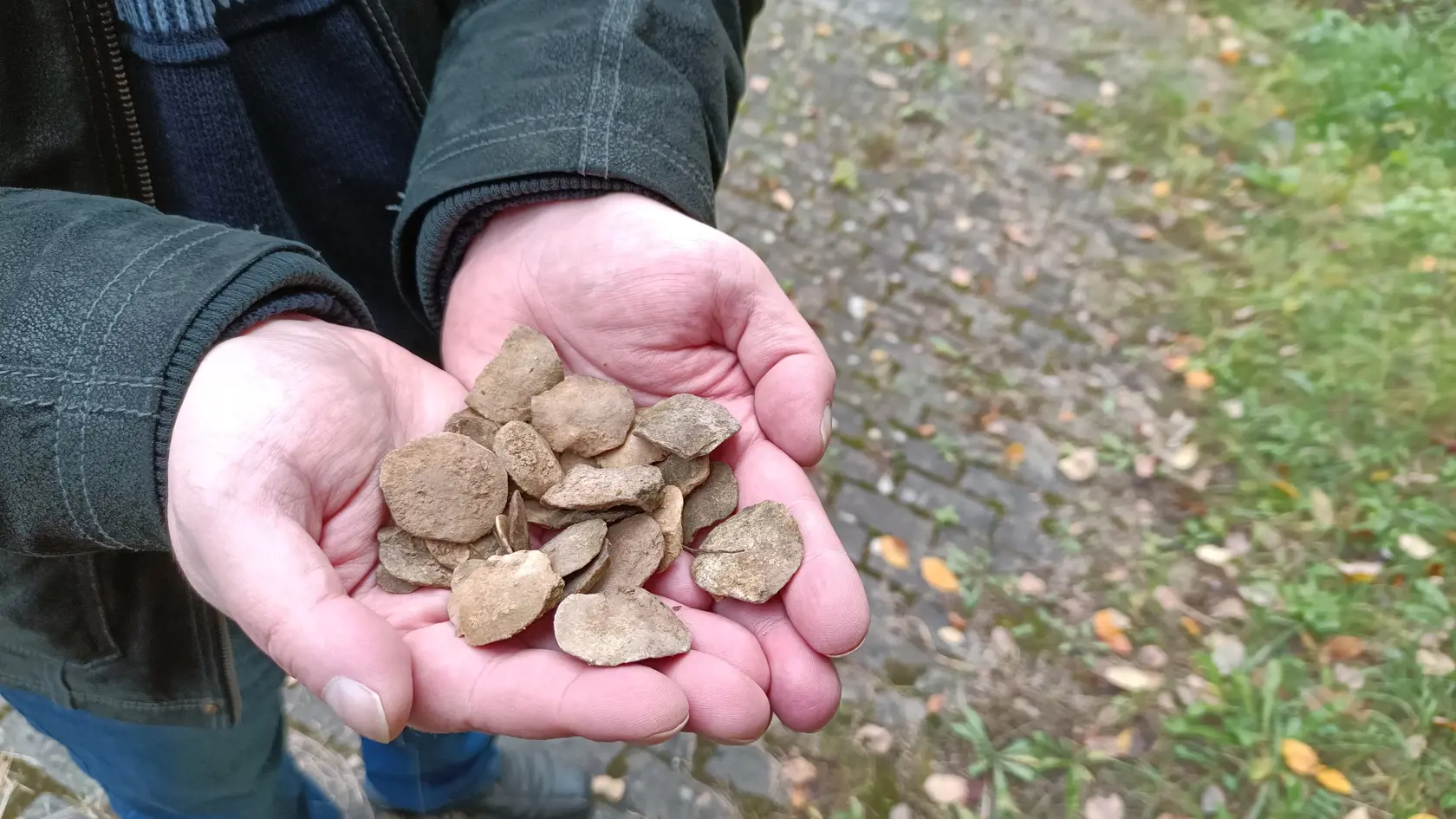 R. Arpáš drží v rukách numulity, ktoré našiel v priebehu pár minút na jednom mieste.