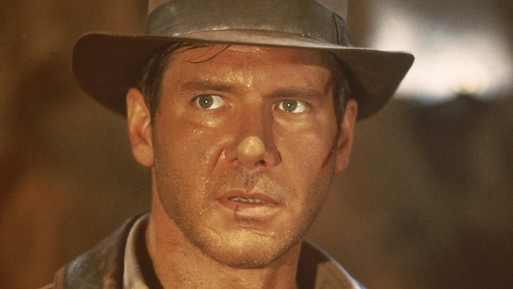 Bič je zo série David Morgan séria 450, známa pre svoju kvalitu a použitie v rôznych hollywoodskych produkciách.
