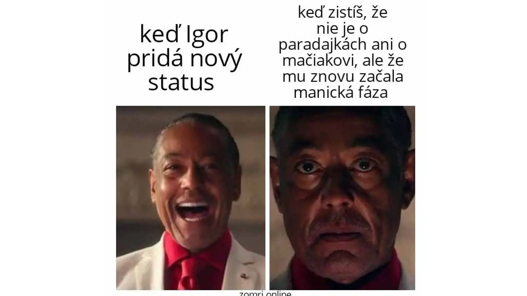 Richard Sulík v minulosti povedal: „Igor Matovič má svoju manickú fázu a ešte musíme vydržať 2 mesiace kým to prejde a potom bude dúfajme zas pokoj.“