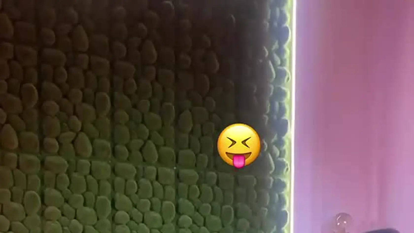 Hanka, dnes už Rika Fane, zverejnila zákulisie z natáčania videí pre dospelých.