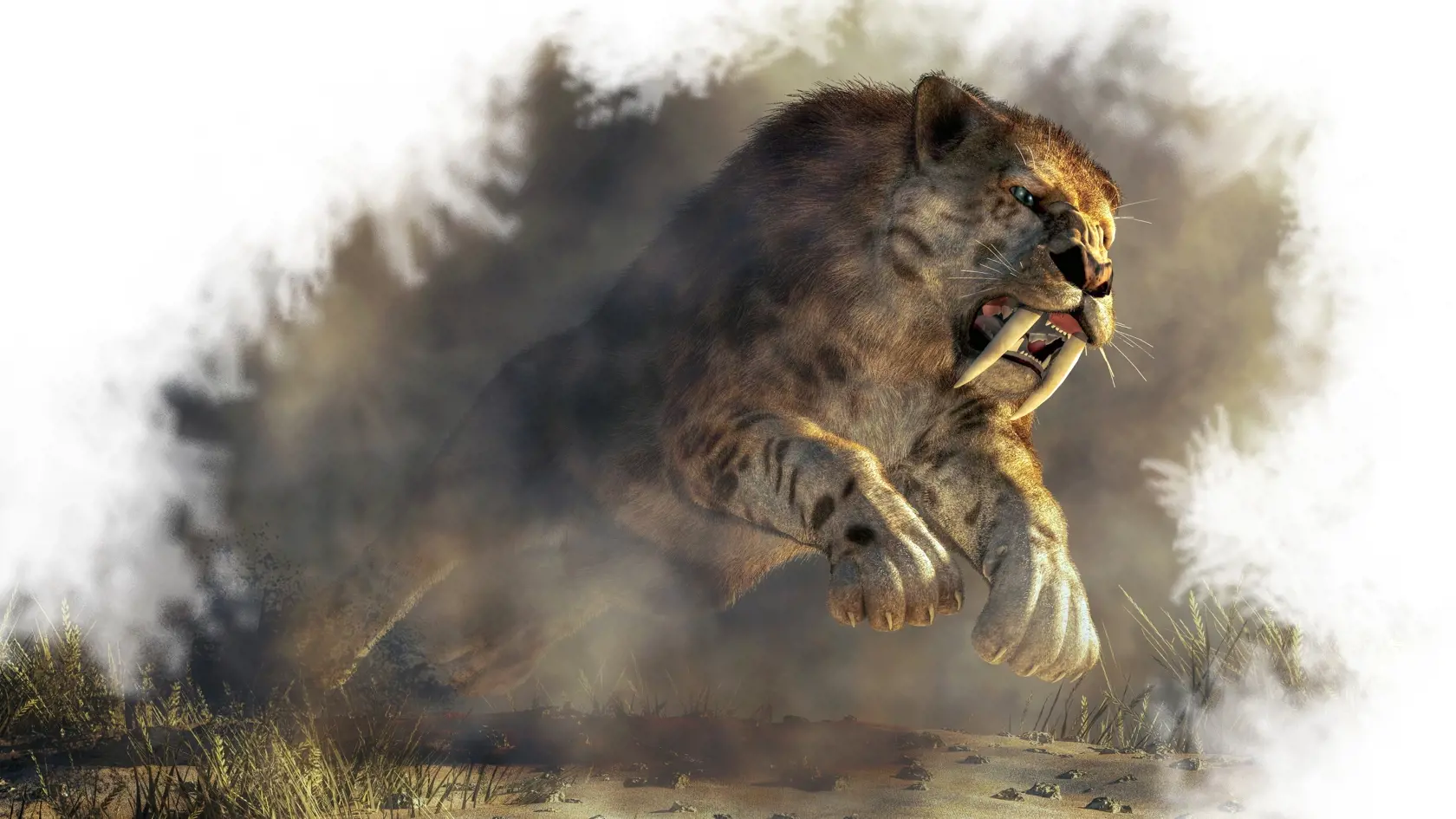 Šabľozubé tigre žili v období pleistocénu (129 000 - 11 700 rokov pred Kr.)