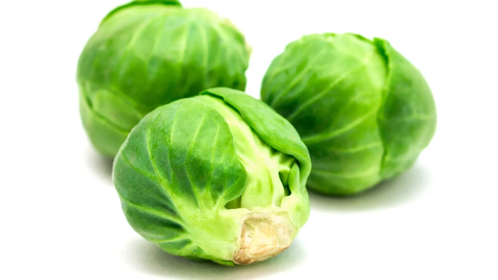Ružičkový kel