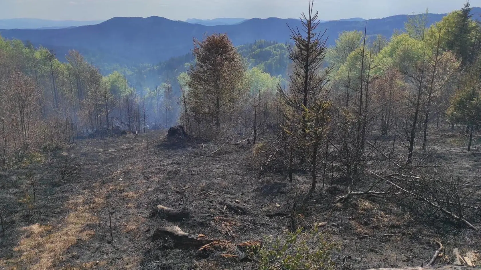 Požiar lesa nad obcou Štiavnik.