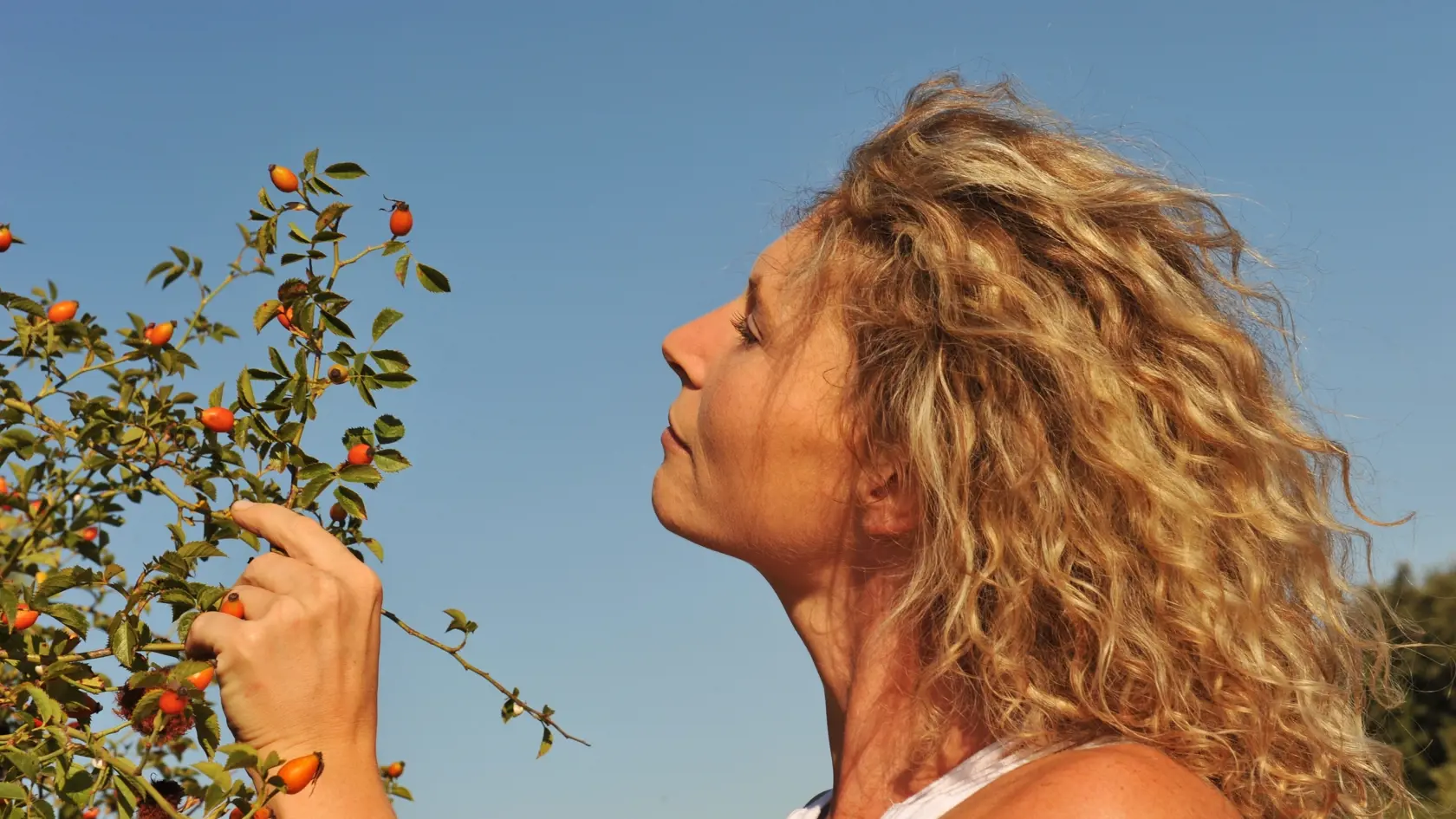 Young,Blond,Woman,Watching,The,Rose,Hips,In,A,Garden